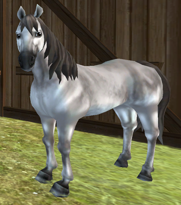 American Quarter Horse - Everything Star Stable