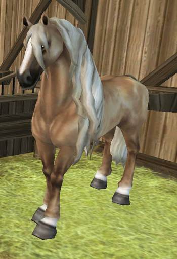Andalusian - Everything Star Stable