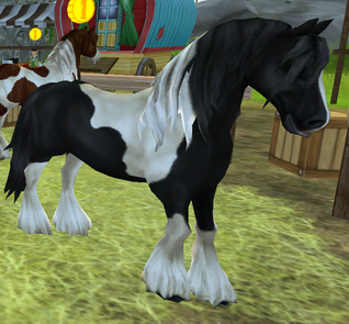 Tinker Horse - Everything Star Stable