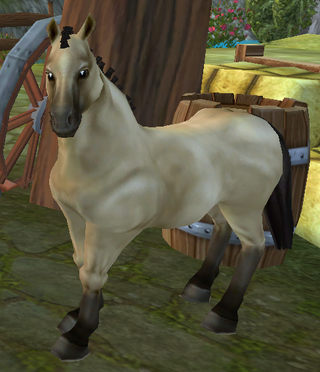 Chincoteague Pony - Everything Star Stable