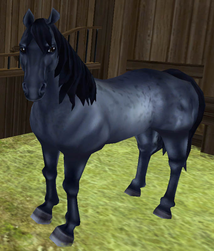 American Quarter Horse - Everything Star Stable