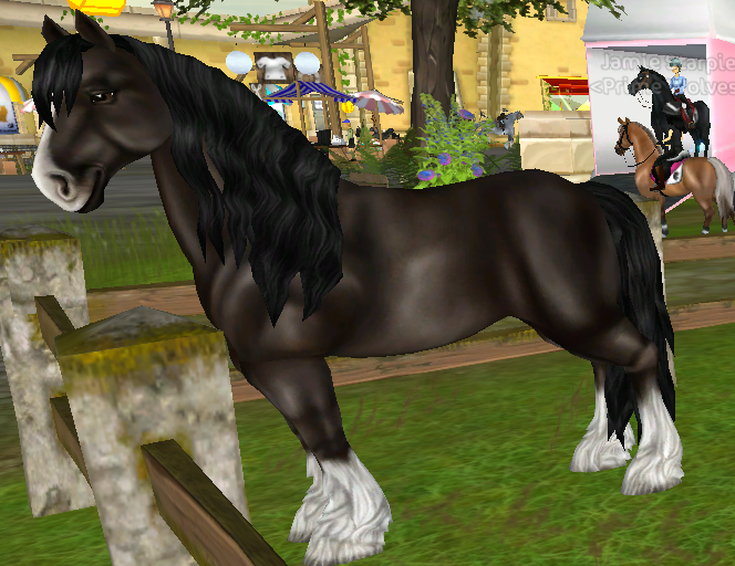 Shire - Everything Star Stable
