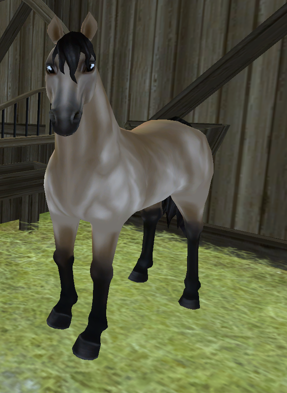 Morgan - Everything Star Stable