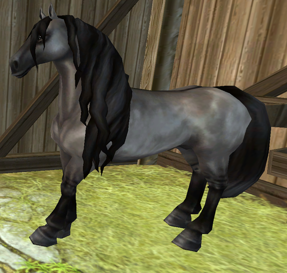 Friesian Sport Horse - Everything Star Stable
