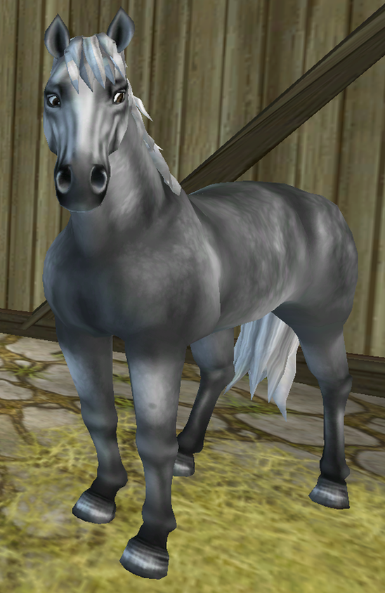 English Thoroughbred - Everything Star Stable