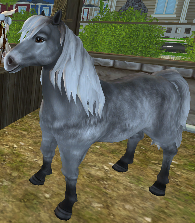 Icelandic Horse - Everything Star Stable